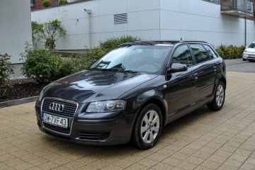 1,9TDI 2007 r. Bezwypadkowy Panorama