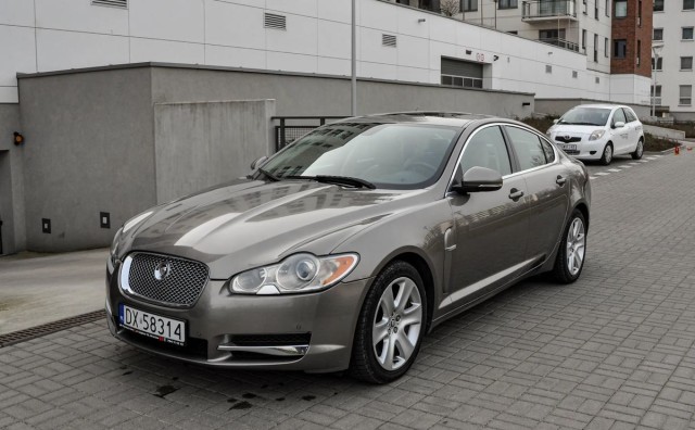 jaguar