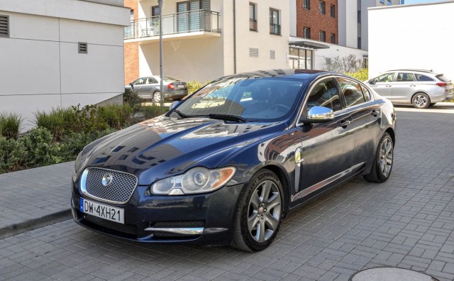 jaguar