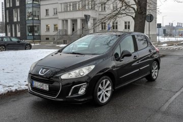 Bezwypadkowy Lift 2011 r. Skóry