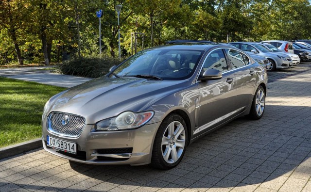jaguar